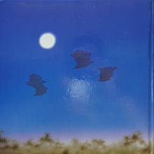 Load image into Gallery viewer, Stellaluna - Janell Cannon