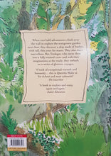 Load image into Gallery viewer, The Green Ship - Quentin Blake