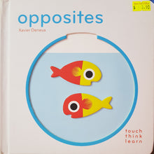 Load image into Gallery viewer, Opposites - XAVIER DENEUX