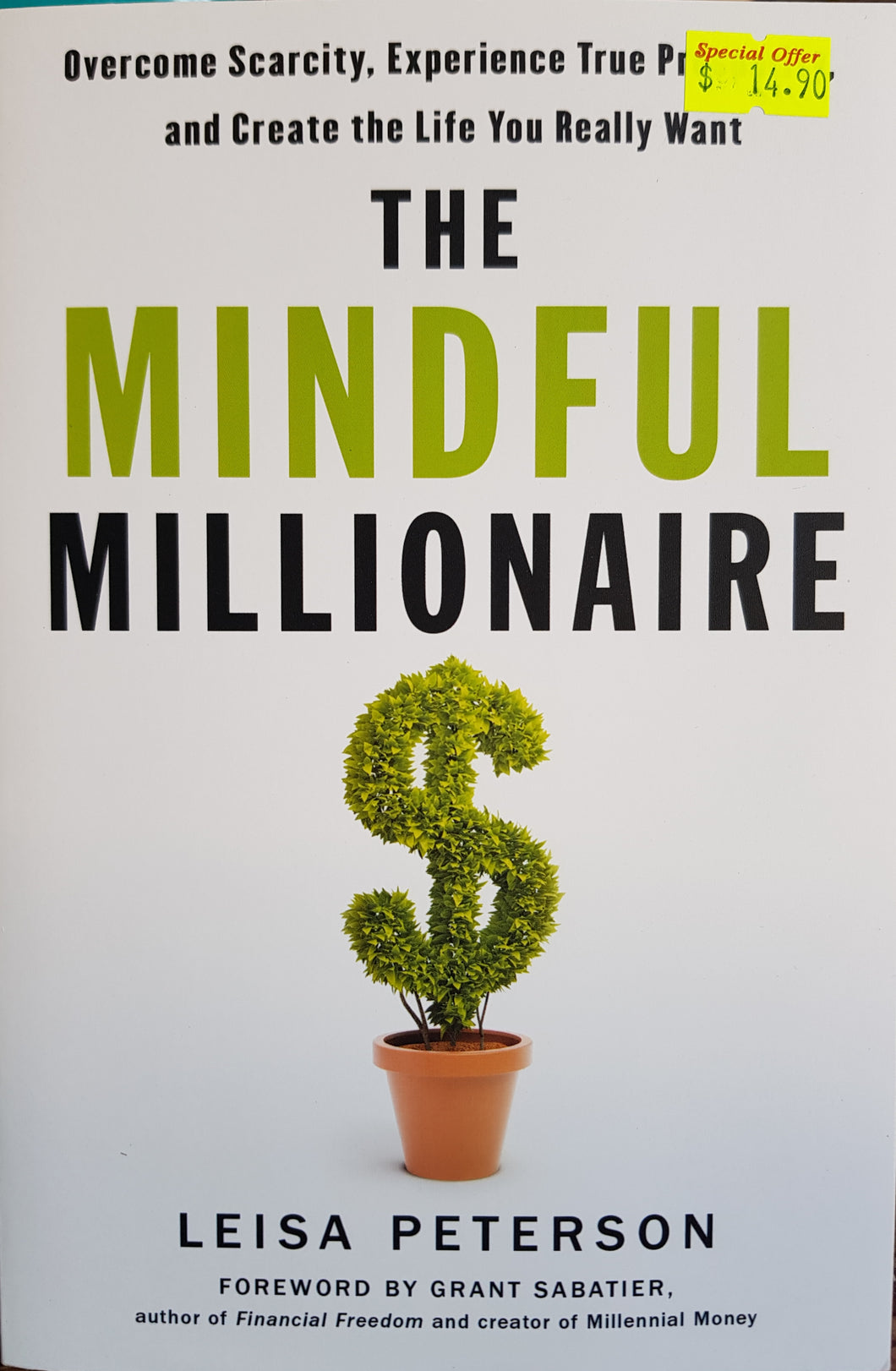 The Mindful Millionaire - Leisa Peterson