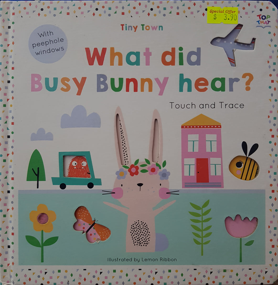 Tiny Town What did Busy Bunny hear? - Oakley Graham & Lemon Ribbon