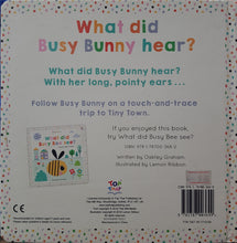 Load image into Gallery viewer, Tiny Town What did Busy Bunny hear? - Oakley Graham &amp; Lemon Ribbon
